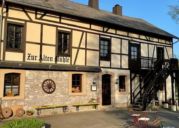 Alte Muehle Boerfink